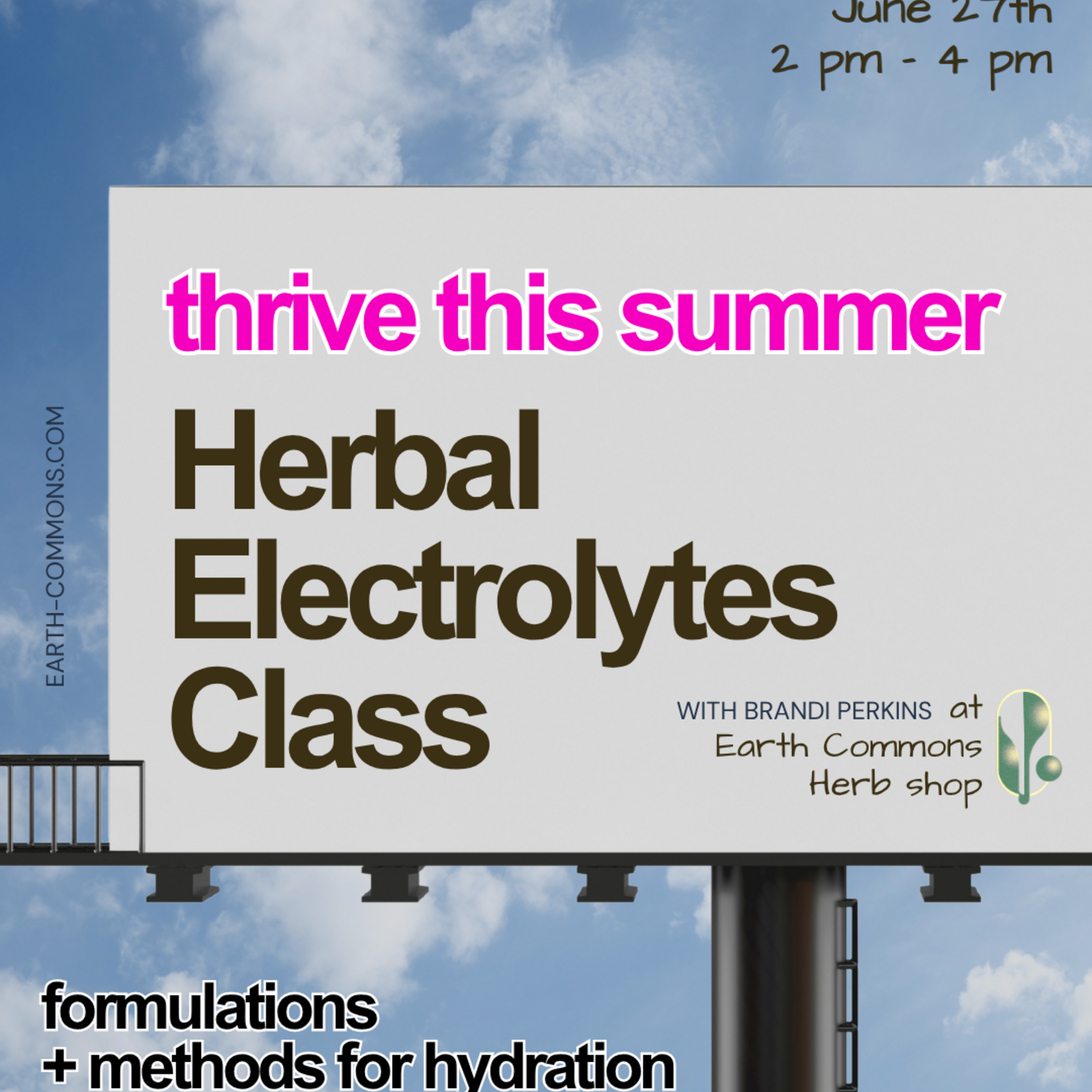 Earth Commons Herbal Electrolyte Formulations + All Things Summer Class at Earth Commons