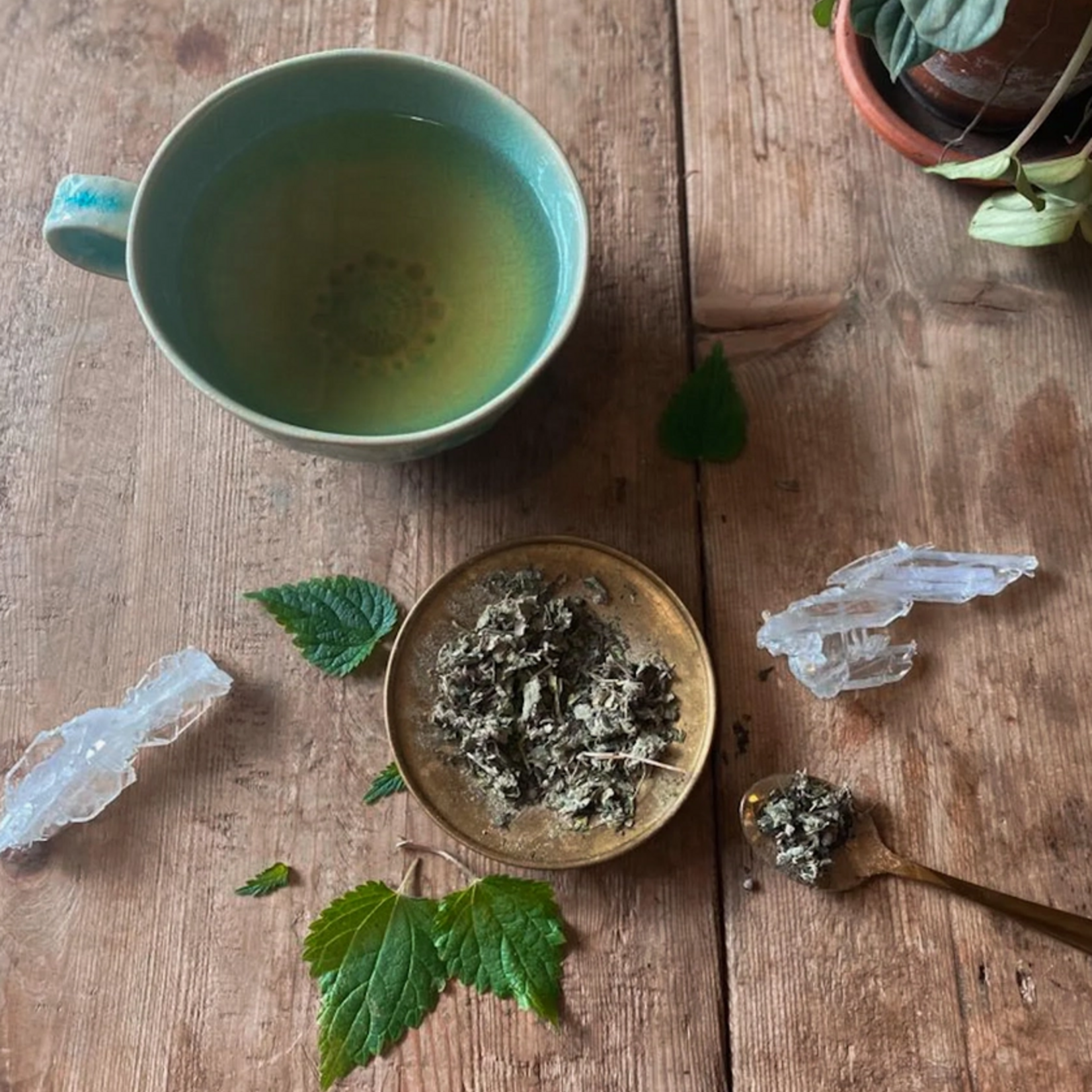 Anima Mundi WOMB Tea | Nourish + Empower - 2 oz- Anima Mundi