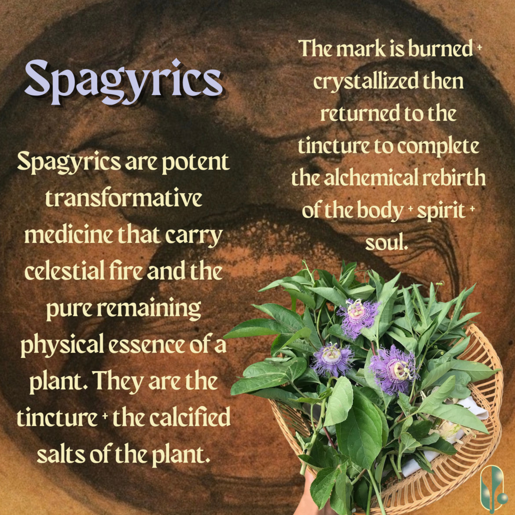 Earth Commons Passionflower Spagyric by Earth Commons