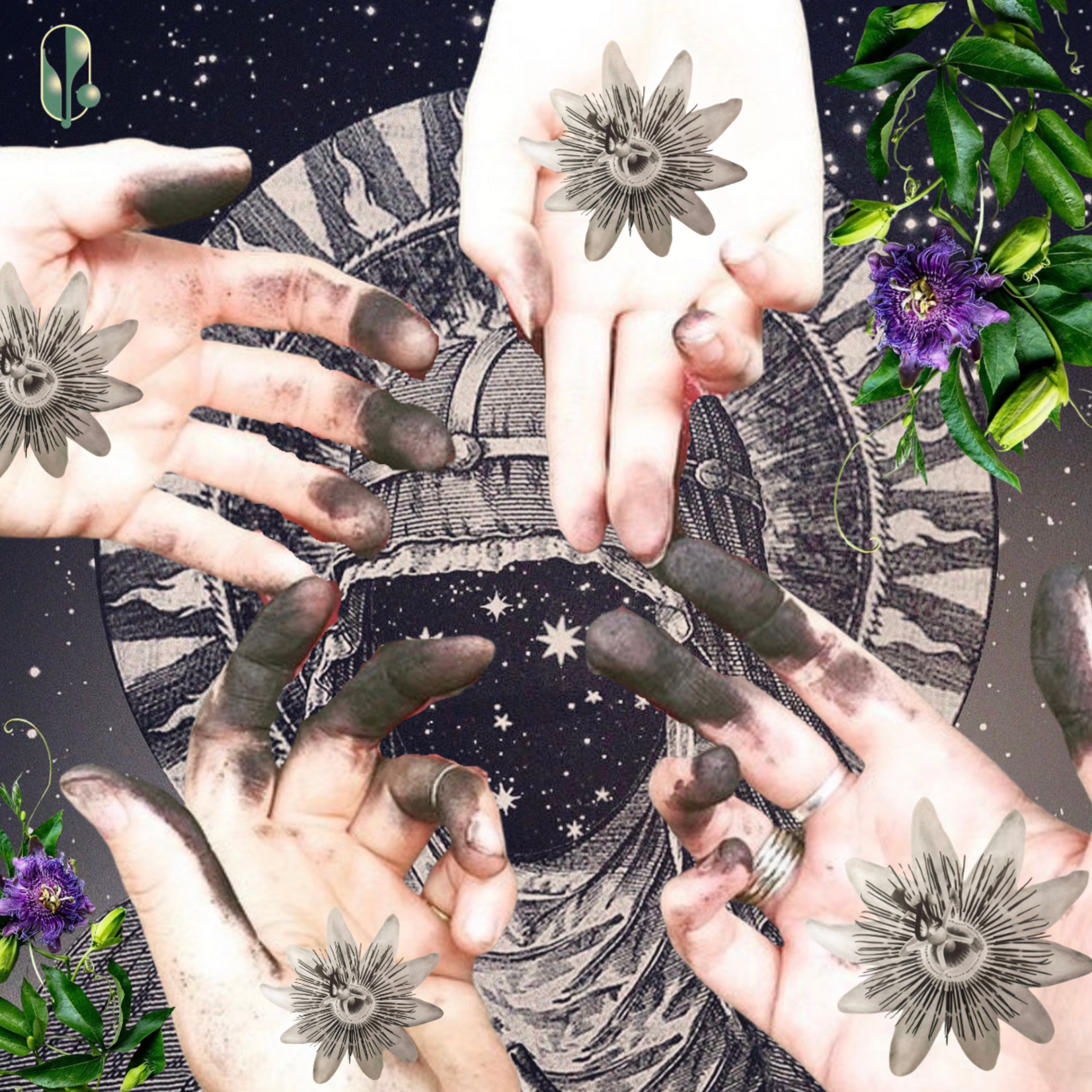 Earth Commons Passionflower Spagyric by Earth Commons