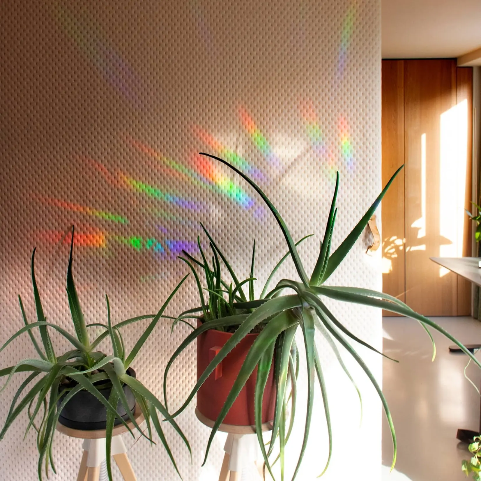 botanopia Rainbow maker Sticker for Your Window by Botanopia