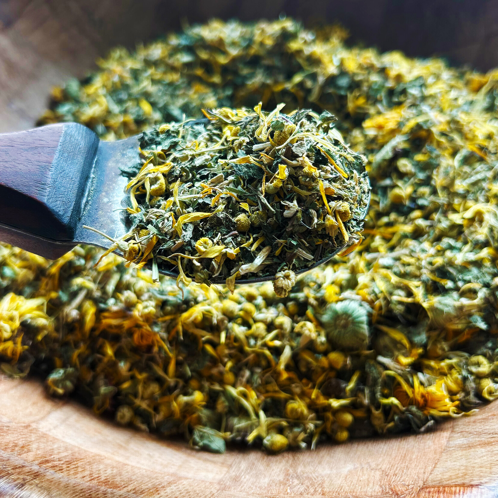 Earth Commons Gut Balance Tea by Earth Commons