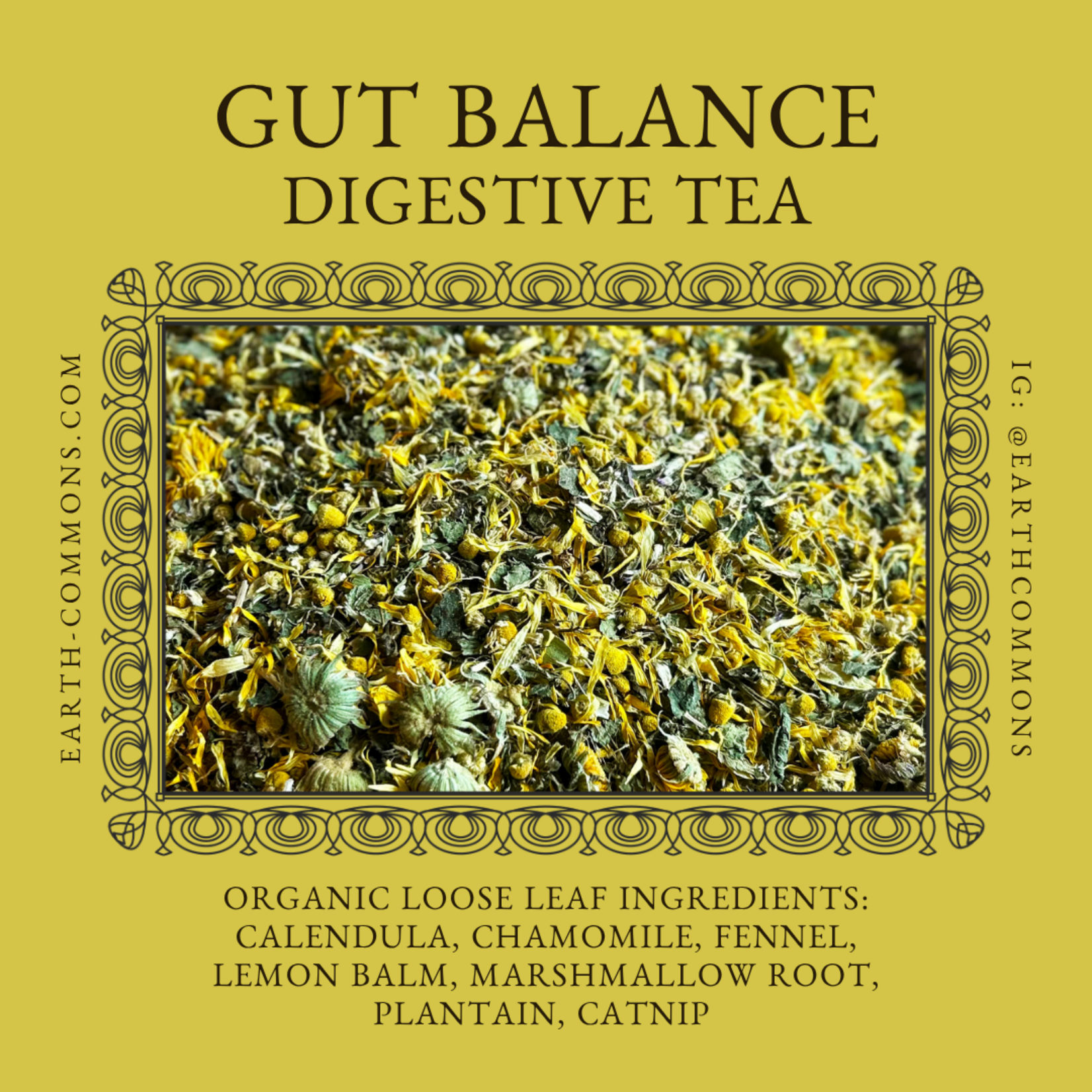 Earth Commons Gut Balance Tea by Earth Commons
