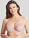 Panache Serene Full Cup Underwire Bra - Vintage