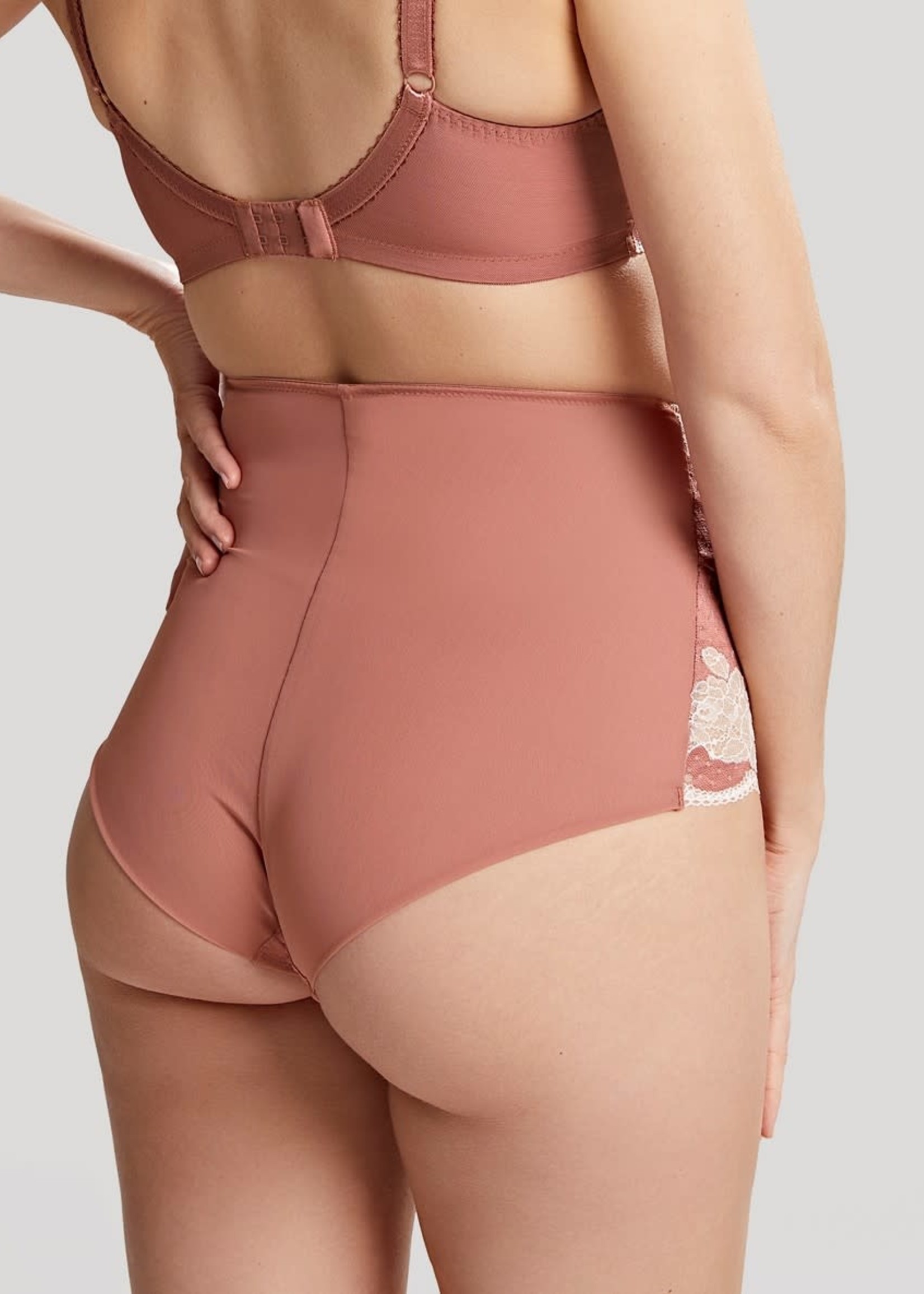 BNWT Panache Clara High Waist Brief 7254 BNWT Panache Clara High Waist Brief 7254