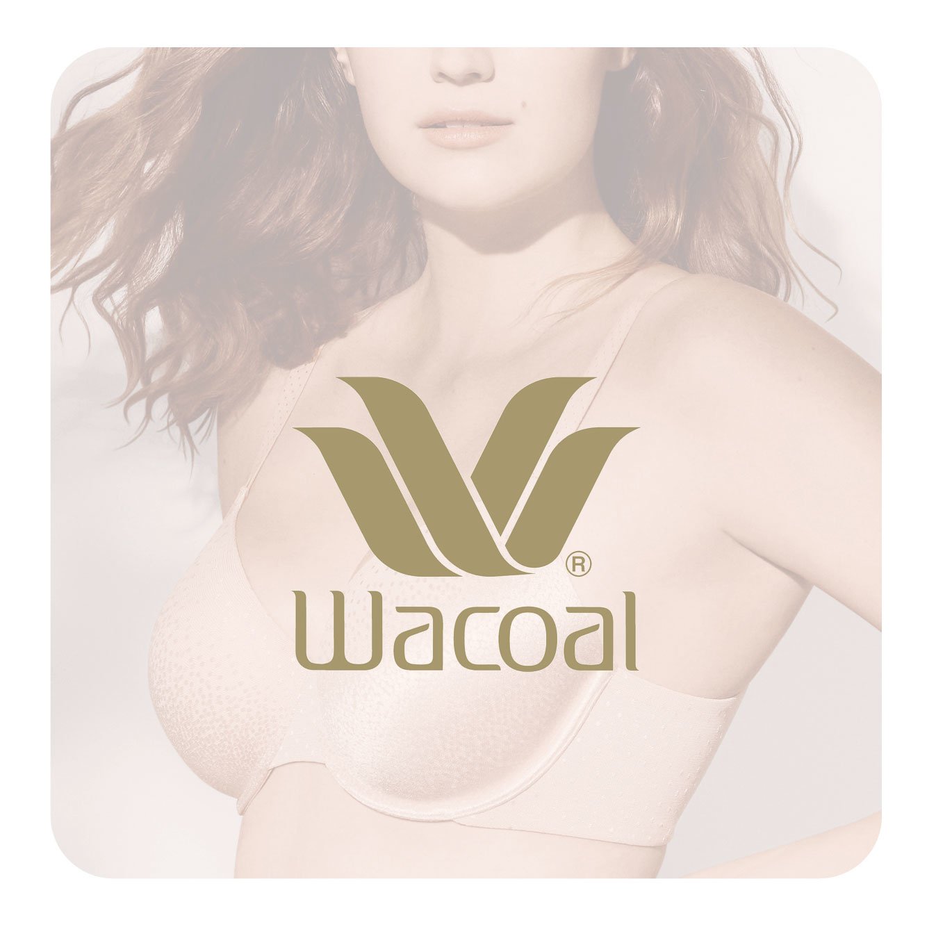 Wacoal 875362 Understated Cotton Fashion Brief - Allure Intimate Apparel