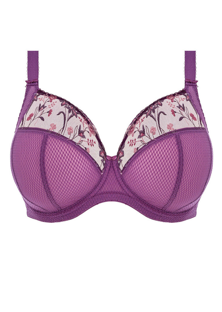 Buy Elomi Charley Plunge Bra from the Next UK online shop