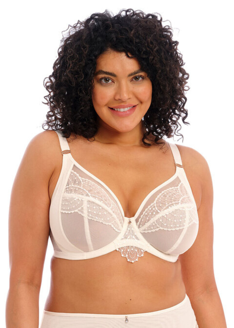 Embroidered Push Up Plunge Bra  Plunge bra, Plus size bra, Bra