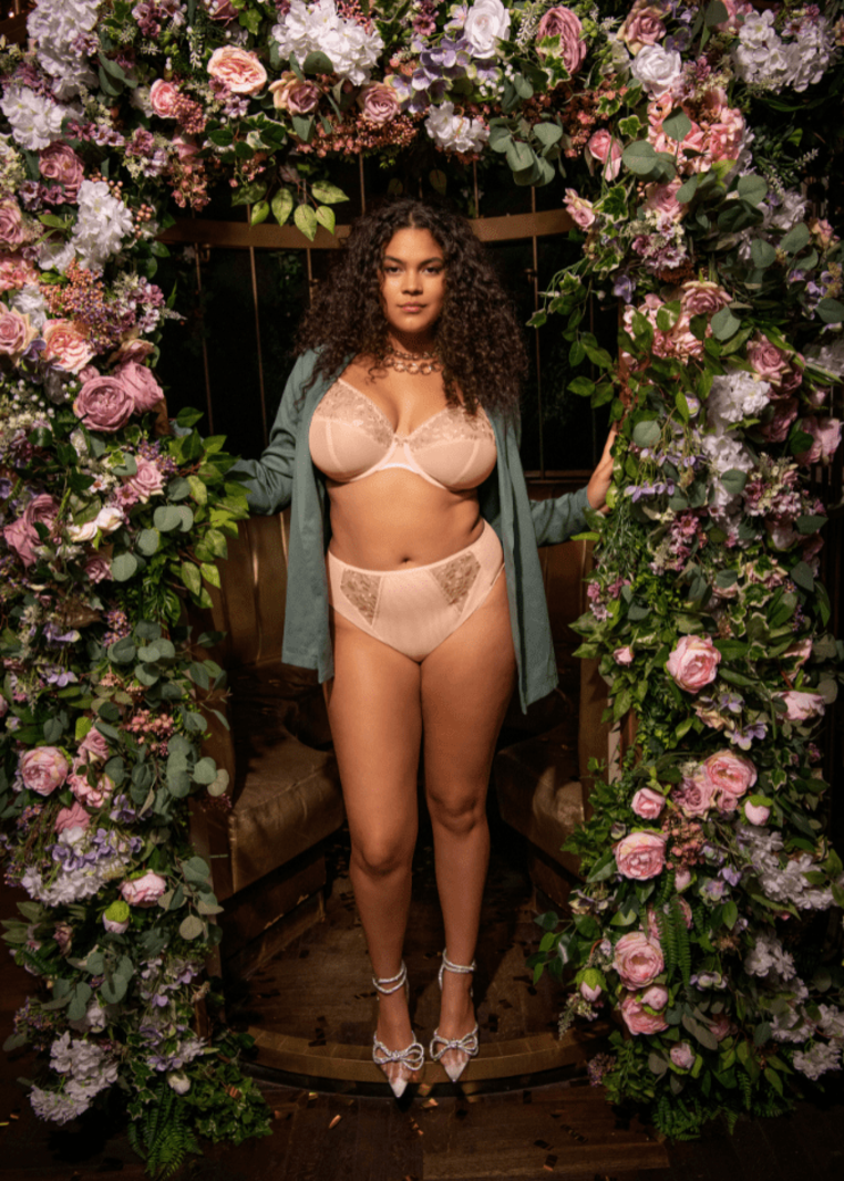 Elomi EL301336 Namrah Underwire Bandless Plunge Bra - Pale Blush - Allure  Intimate Apparel