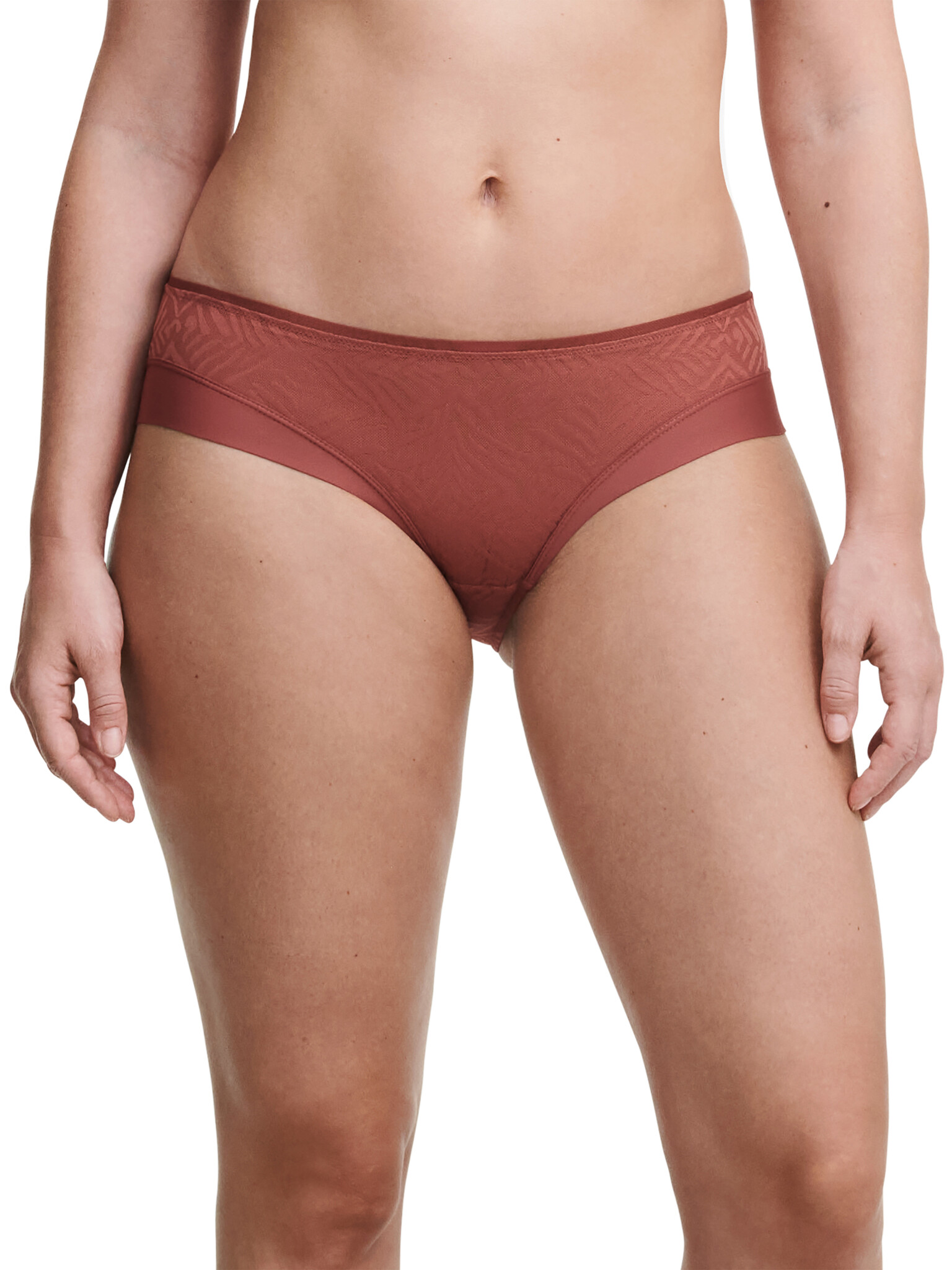 Chantelle Fall in Love Hipster, Passionata designed by CL, Panty Style 4954