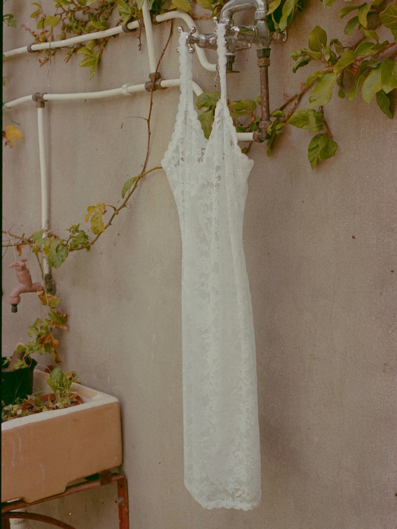 Cosabella Never Say Never Foxie Chemise