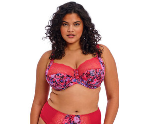 Elomi Women's Plus Size Morgan Underwire Banded Stretch Lace Bra