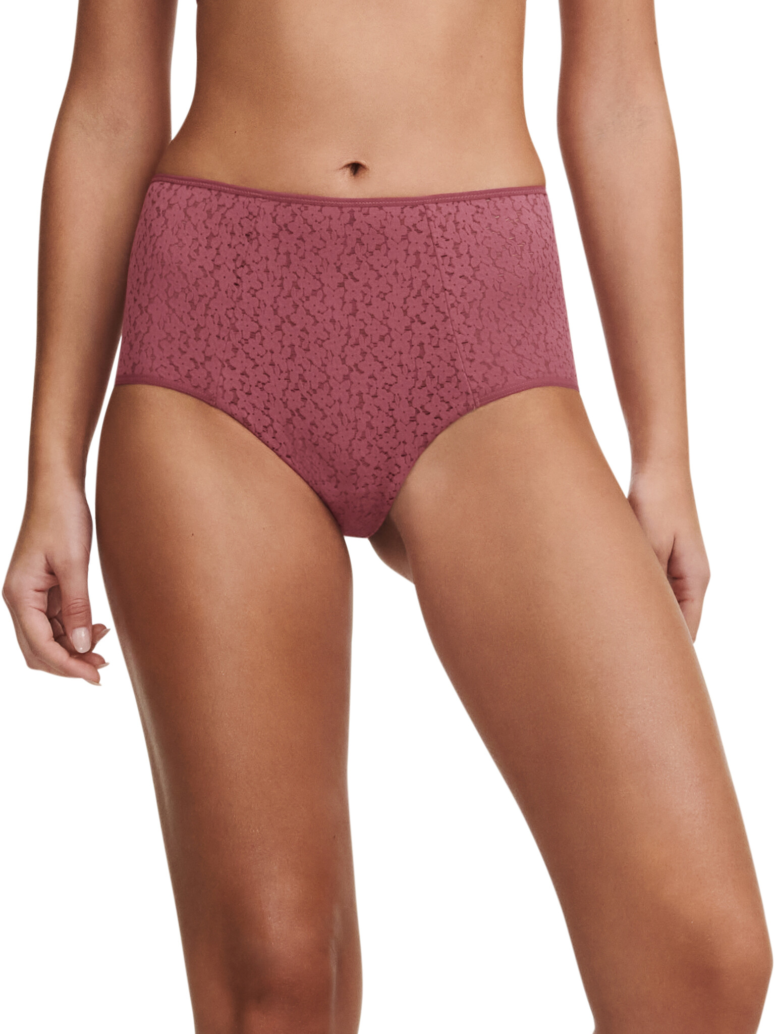 Chantelle Norah High Waist Fashion Brief