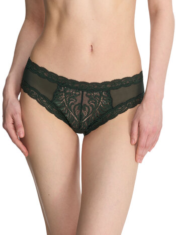 Natori Feathers Fashion Hipster Panty