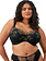 Elomi Teagan Padded Half Cup Underwire Fashion Bra