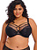 Elomi Brianna Underwire Plunge Bra