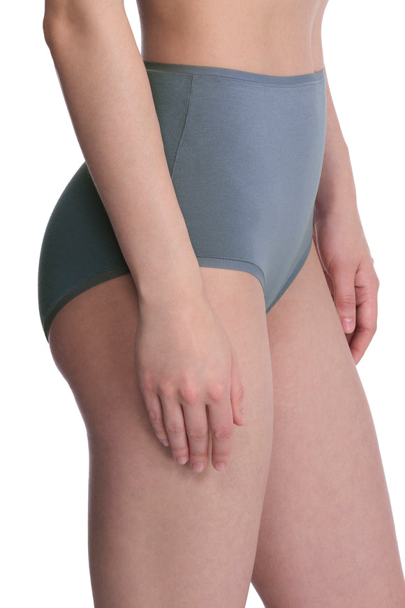 Natori Bliss Bare Cotton High Waist Fashion Brief