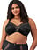 Elomi Cate Allure Underwire Bra