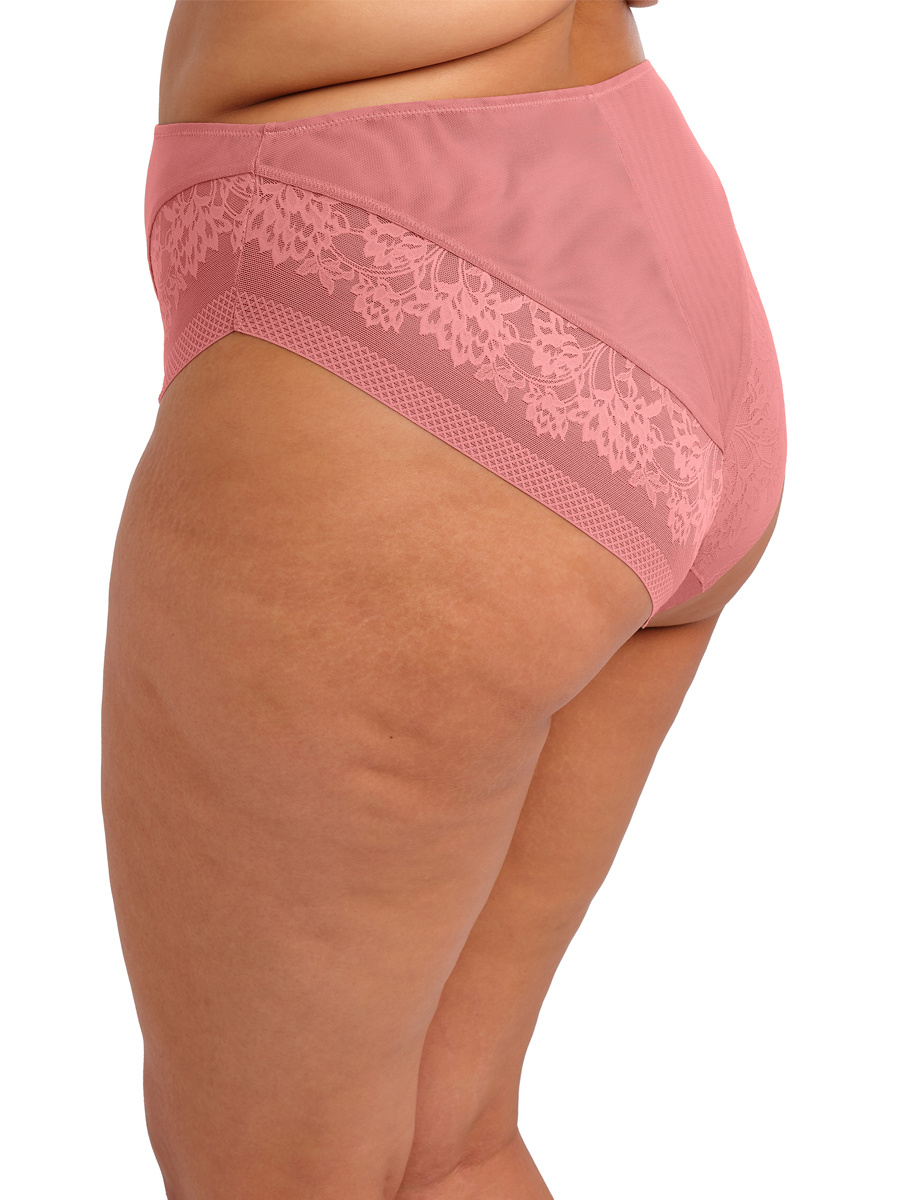 Elomi Nerina High Leg Fashion Brief