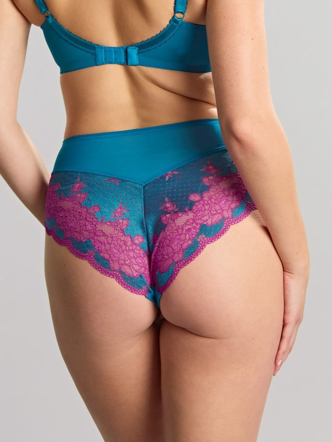 Panache Clara Fashion Deep Brief