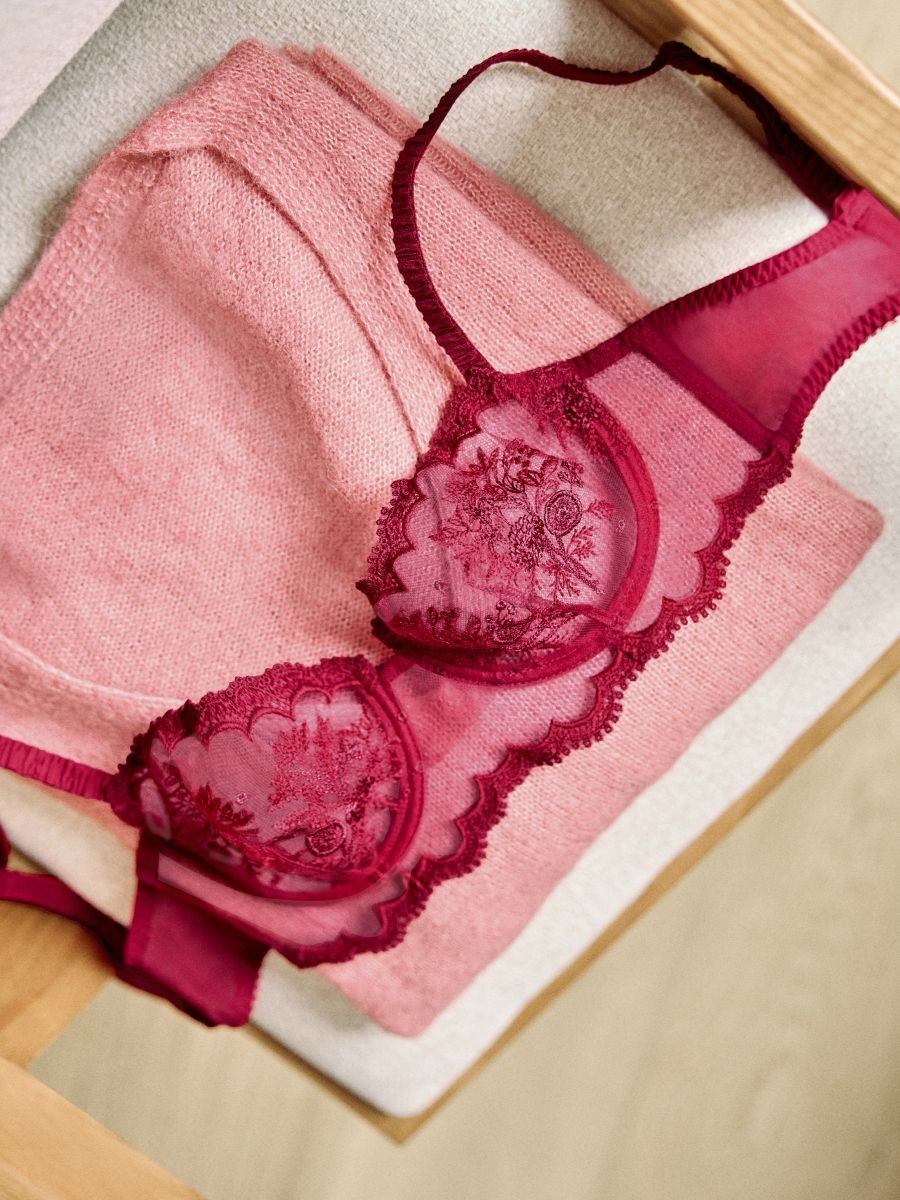 Simone Perele Intrigue Sheer Demi Underwire Fashion Bra