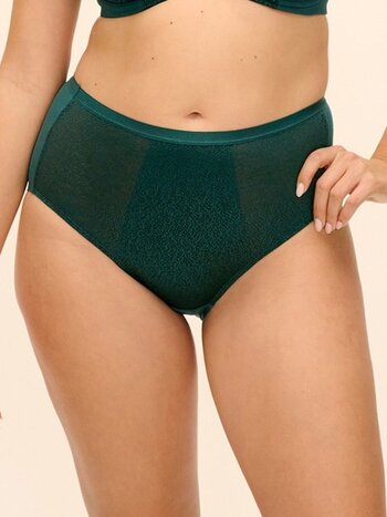 Fantasie Demure Full Fashion Brief