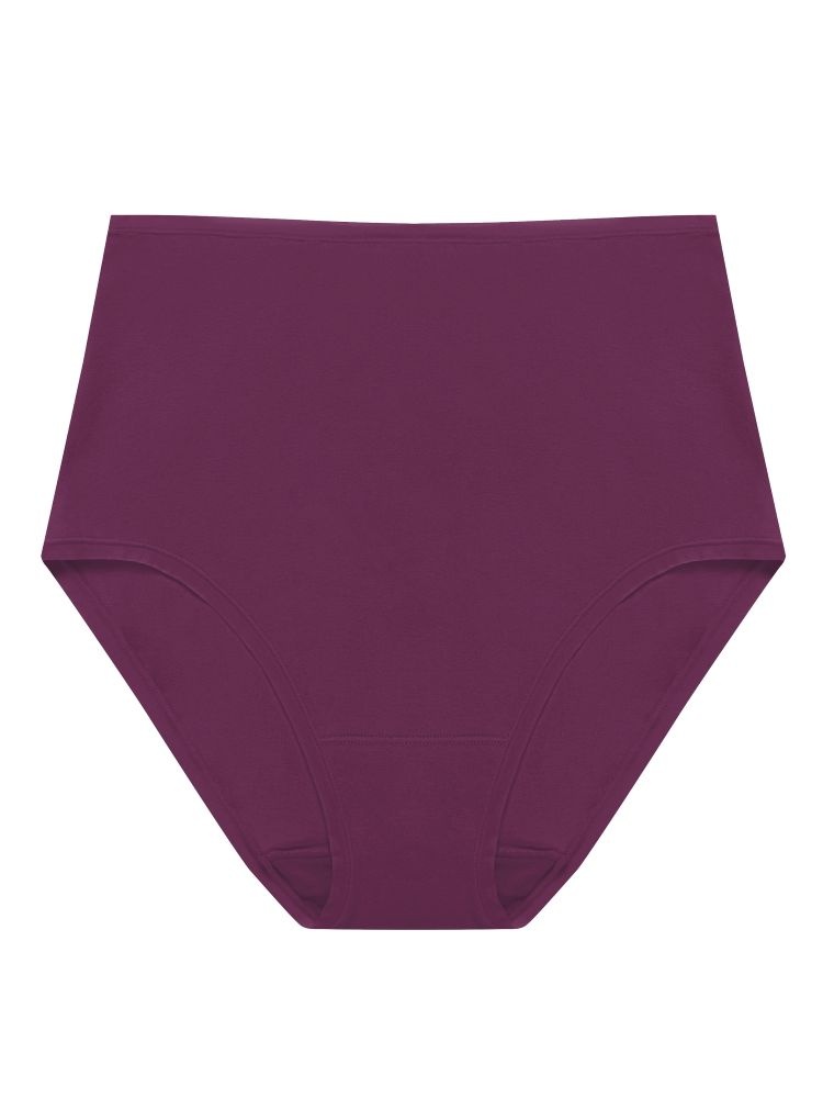 Natori Bliss Bare Cotton High Waist Fashion Brief