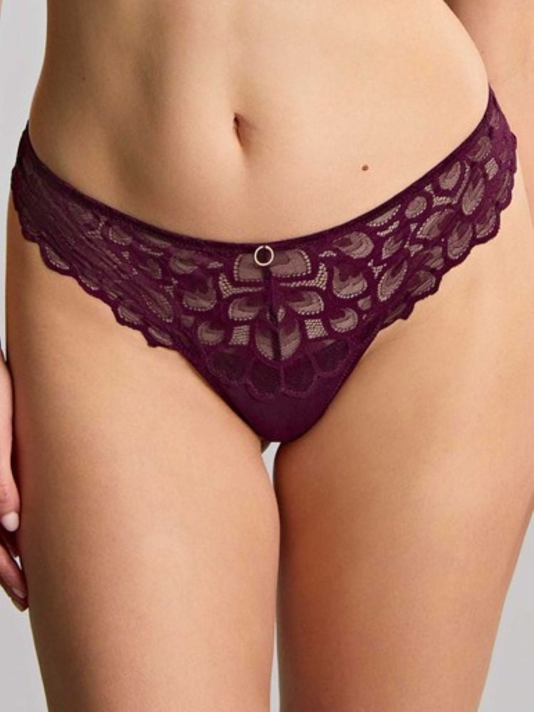 Panache Allure Fashion Thong