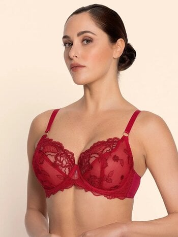 Lise Charmel Sublime En Dentelle Fashion Demi Underwire Bra