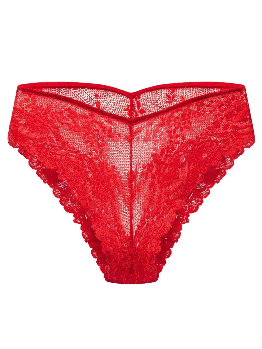 Natori Heavenly High Cut Fashion Bikini