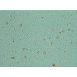 Cinelli Cinelli Cork Ribbon Bar Tape - Celeste