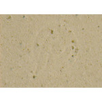 Cinelli Cork Ribbon Bar Tape - Tan