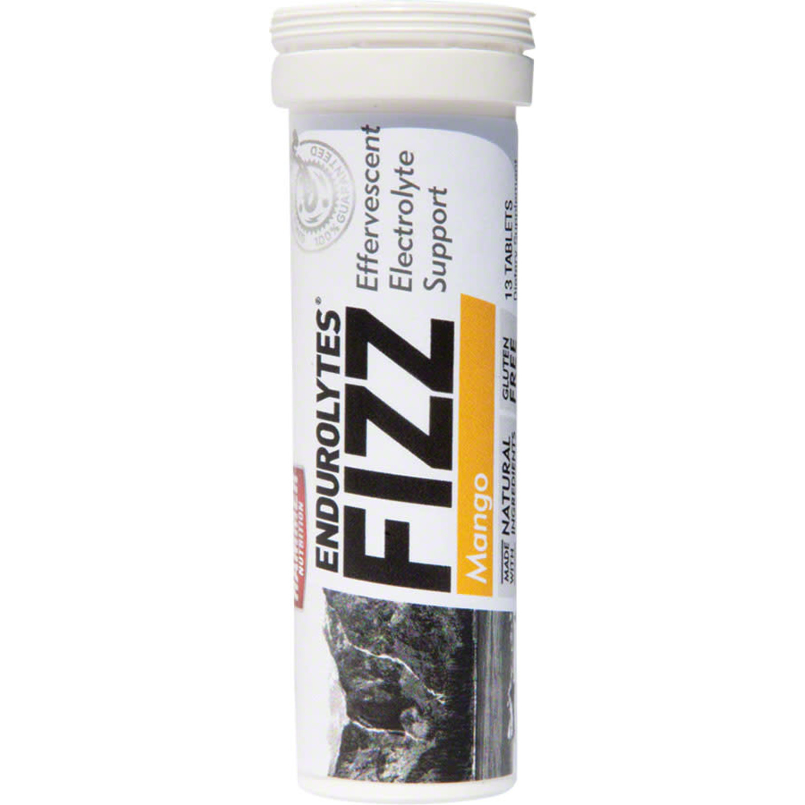 Hammer Nutrition Hammer Endurolytes Fizz: Mango single