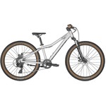 Scott Scale 20" Silver