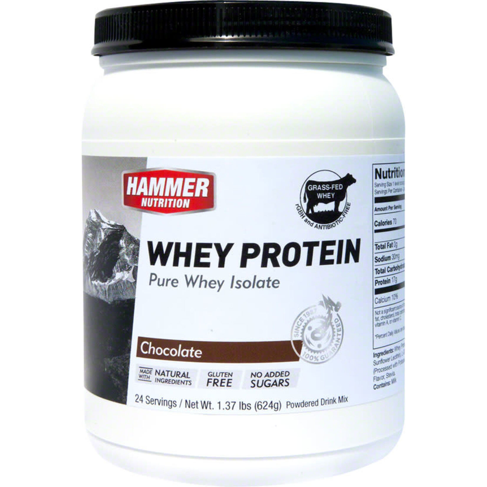 Hammer Nutrition Hammer Whey Protein: Chocolate 24 Servings