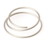 DT SWISS Star Ratchet Spring, Each