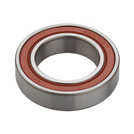 DT SWISS 18307 Bearing