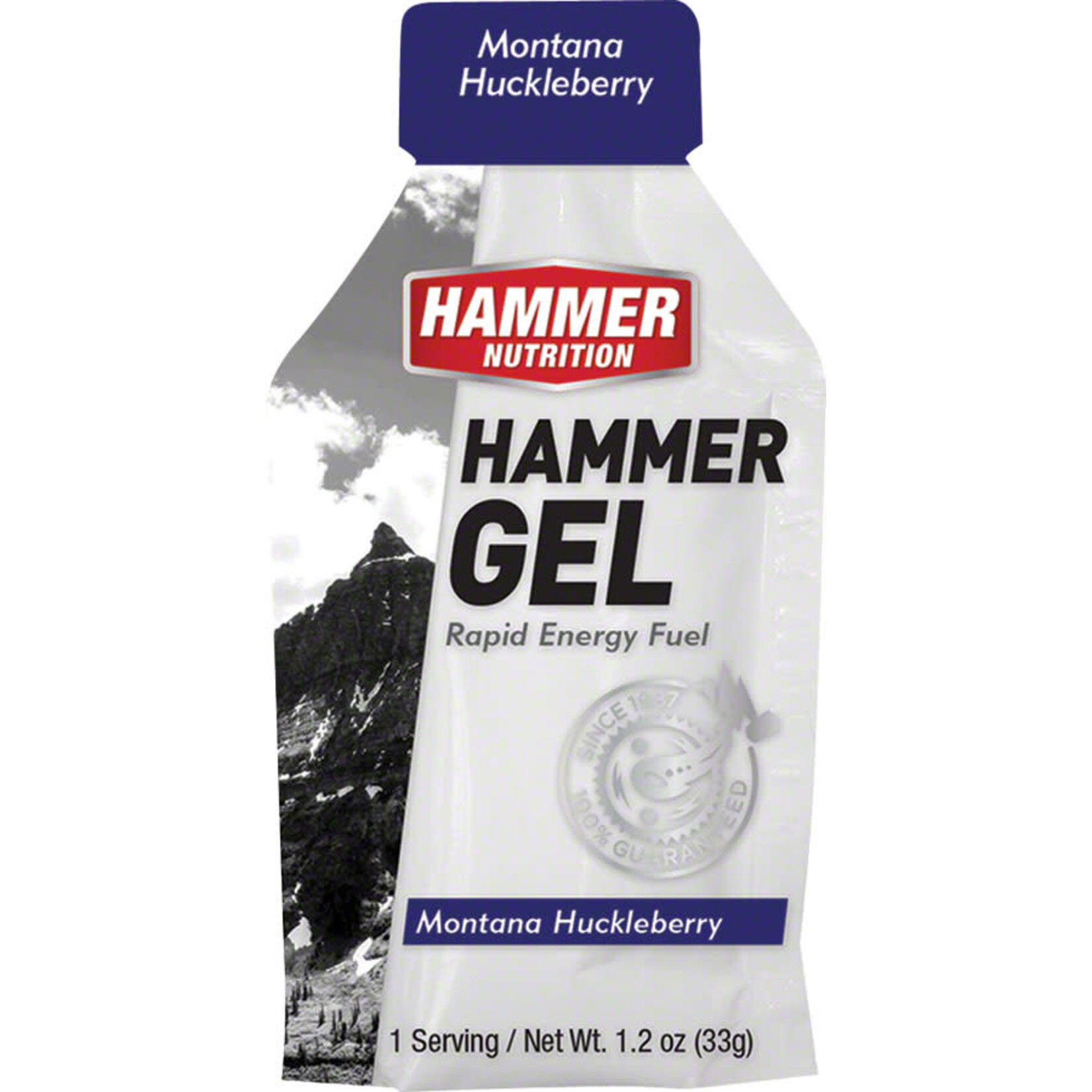 Hammer Nutrition Hammer Gel 24 Single Serving Packets box