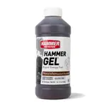 Hammer Nutrition Hammer Gel Jug Hazelnut-Chocolate (26 Servings)