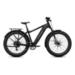 E-bikes