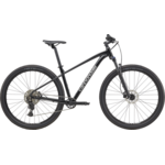 Cannondale Trail 2 29" Black