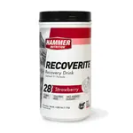 Hammer Nutrition Recoverite Stawberry 28 Servings