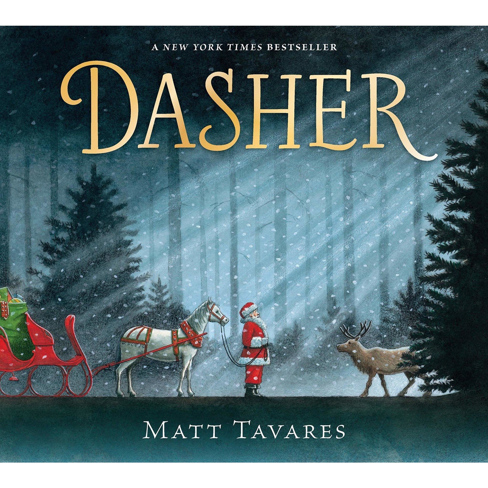 Dasher by Matt Tavares (Hardcover)