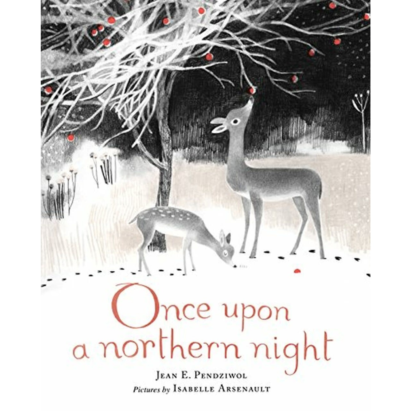 Once Upon a Northern Night by Jean E. Pendziwol (Hardcover)