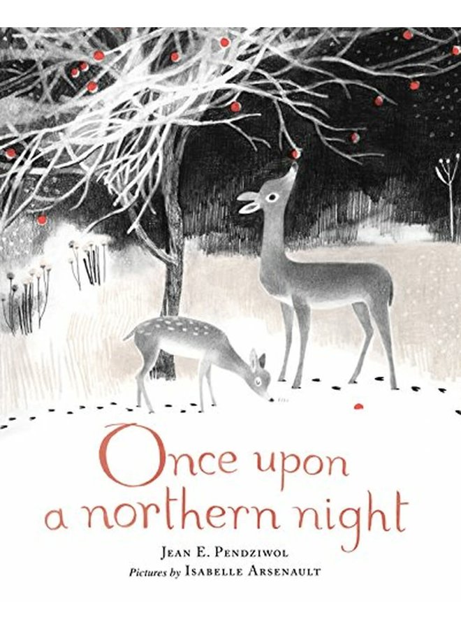 Once Upon a Northern Night by Jean E. Pendziwol (Hardcover)