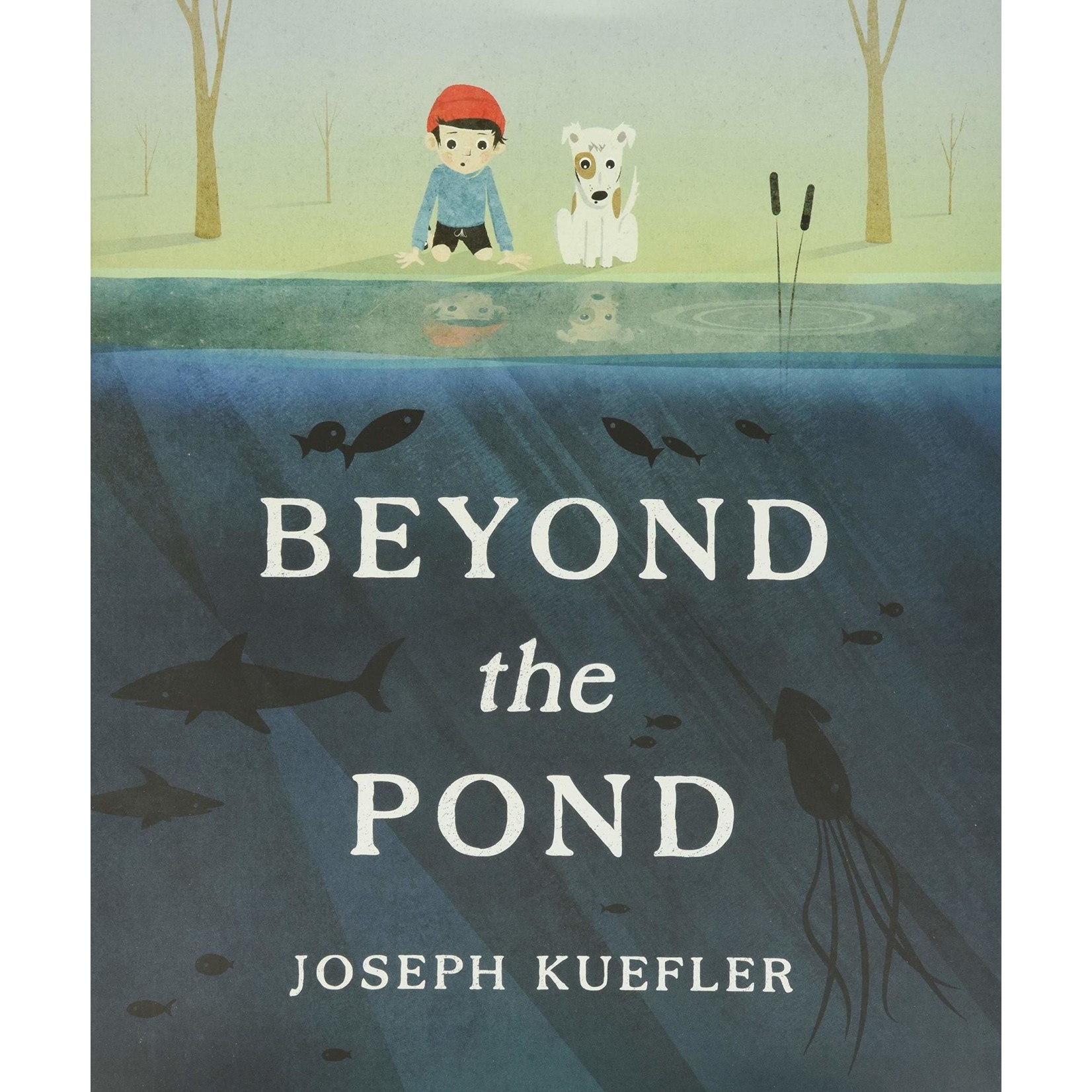 Beyond the Pond by Joseph Kuefler (Hardcover)