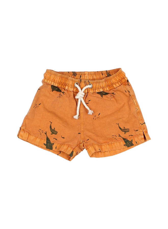 Ocean Swim Trunks - Curry