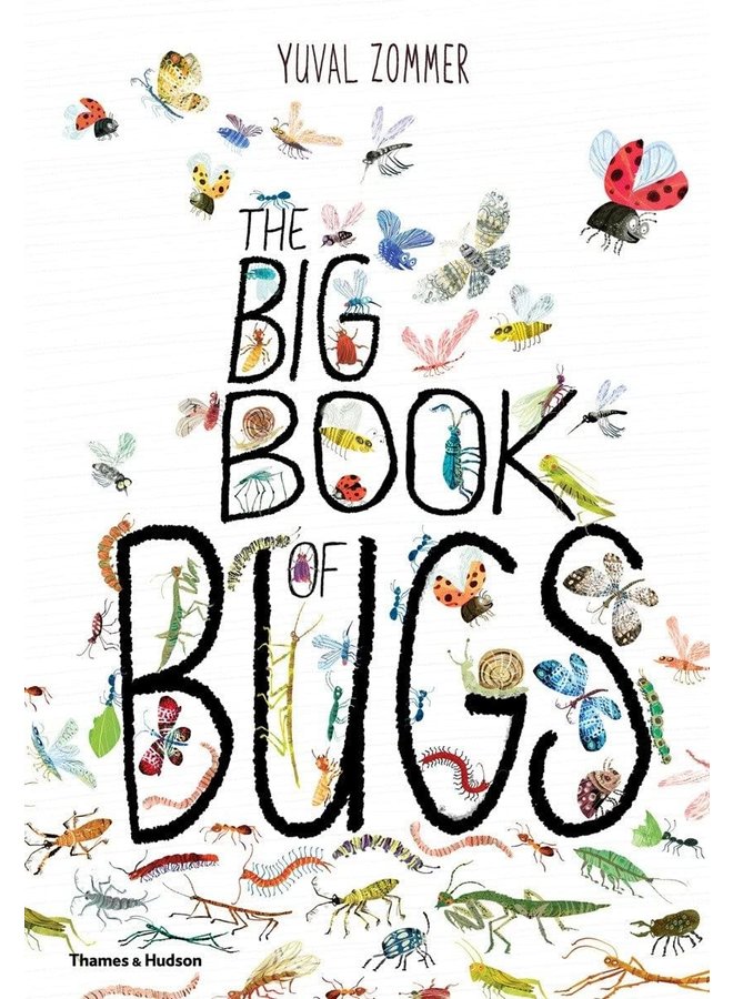 The Big Book of Bugs by Yuval Zommer (Hardcover)