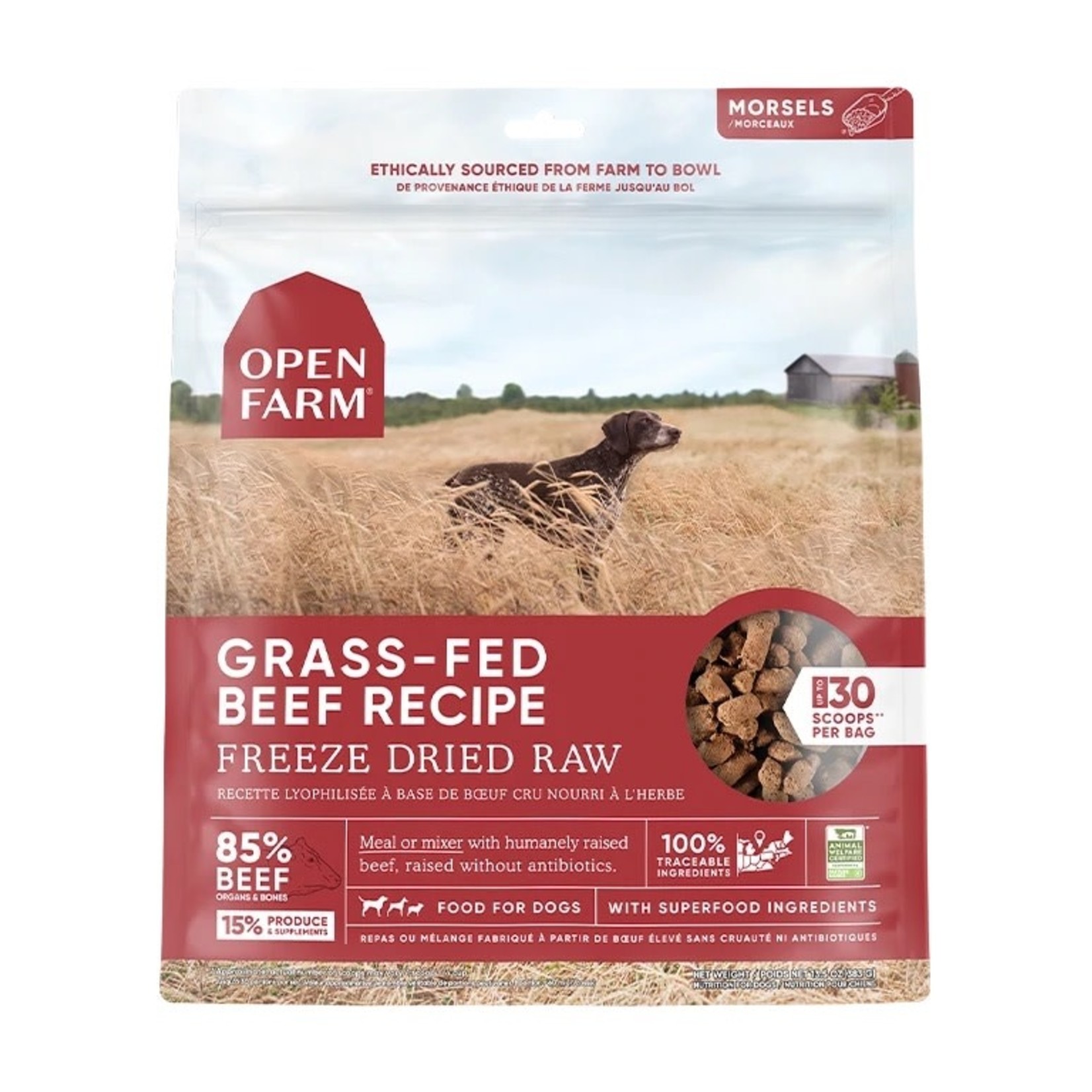 Open Farm Open Farm Dog FD Raw Beef 22oz