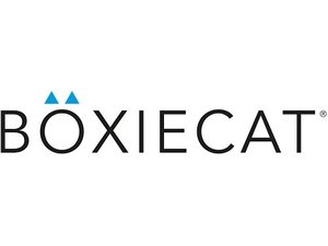 Boxiecat